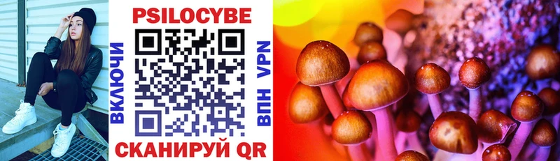 что такое Борзя Галлюциногенные грибы Magic Shrooms